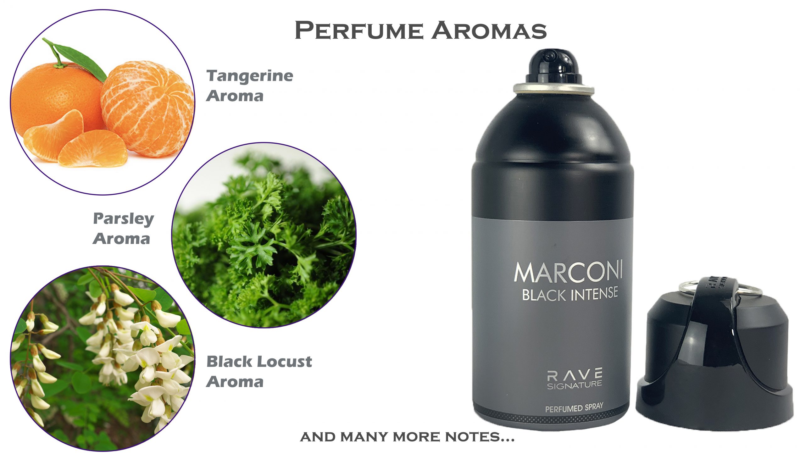 marconi black intense perfume