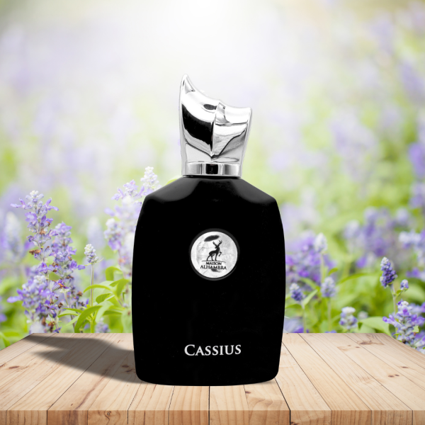 Cassius 100ml