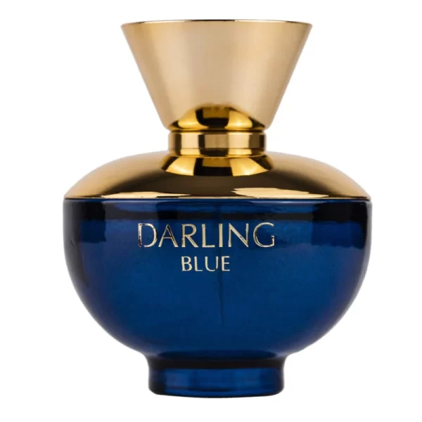 Darling Blue Perfume EDP 100ml Citrus Floral Fragrance Similar to Versace Dylan Blue