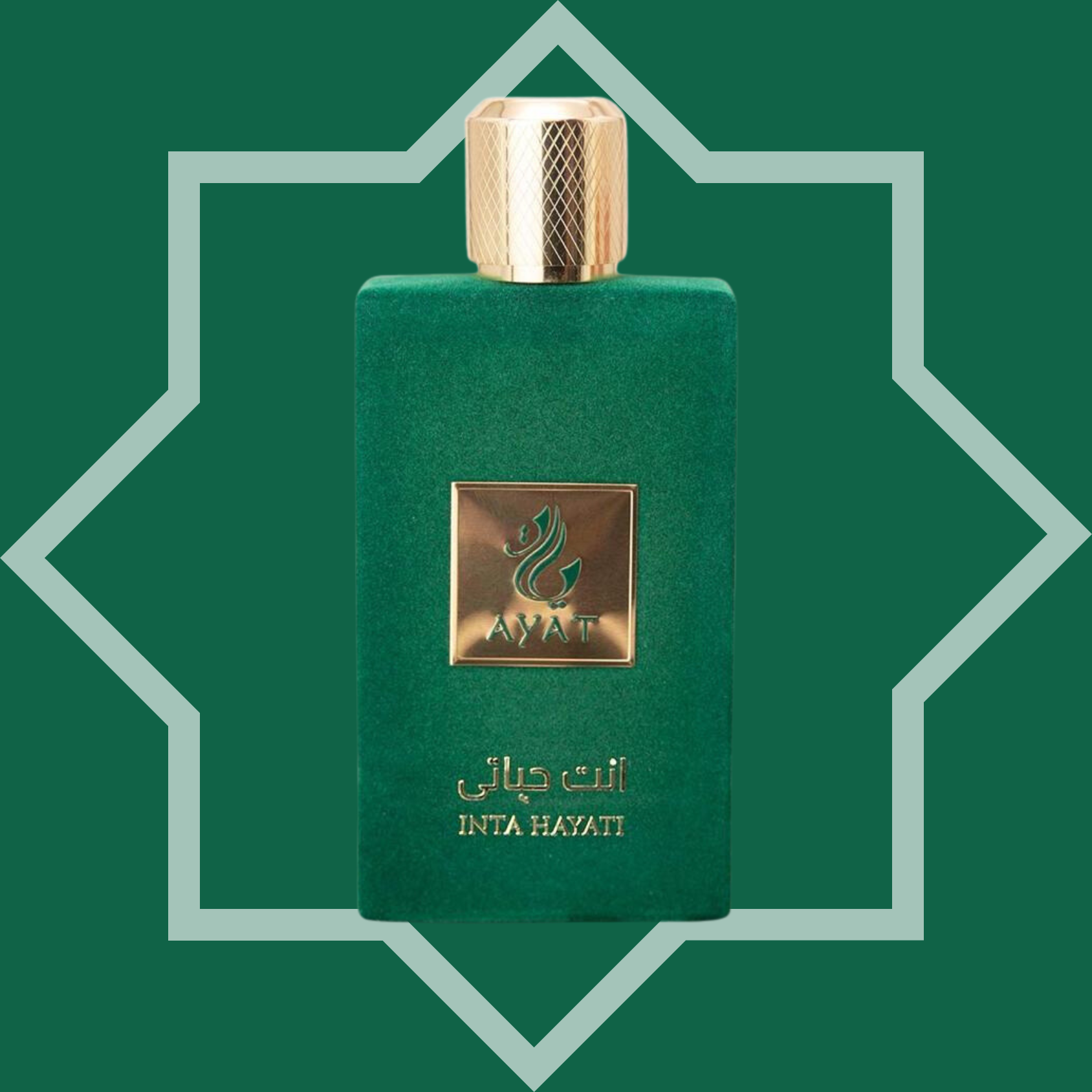 INTA HAYATI Velvet Collection Eau de Parfum - 100ml Arabian Perfume for ...