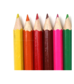 Pack of 5- 12 Colouring Pencils With Sharpener - Image 4
