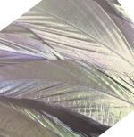 Feathers | Lap Tray | 43 x 33 x 1.5cm - Image 4