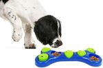Bone Shape Feeding Interactive Game-Dog Training - Image 3