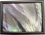 Feathers | Lap Tray | 43 x 33 x 1.5cm