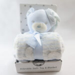 Blue Teddy Hug Toy Blanket- Toy and Blanket Set