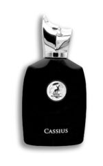 Cassius 100ml Eau de Parfum by Maison Alhambra | Perfume for men and women - Image 2
