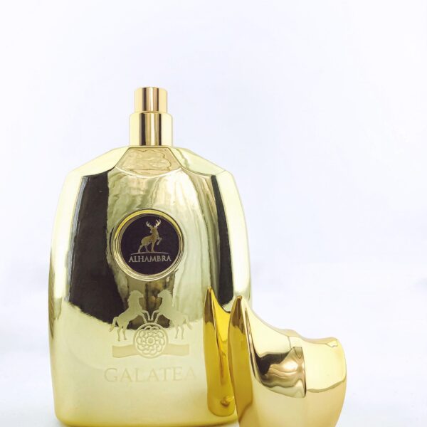 Perfume | Galatea Men 100ml by Alhambra | Inspired by Godolphin