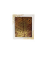 Mouj Perfume 100ml By Asdaaf - Image 3