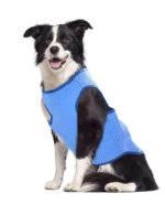 Reflective Pet Cooling Vest | One Size - Image 3