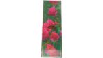 Room Water Spray | Shadha 500ml by Al Rehab