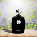 Cassius 100ml Eau de Parfum by Maison Alhambra | Perfume for men and women - Image 4