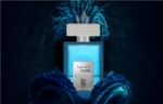 Amoris Punk 100ml Perfume EDP Citrus Spicy Fragrance For Him by Nylaa Perfumes - Image 3