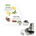 Auraa Desire Homme Intensus Extrait De Parfum 100 ml Tobacco, Tonka Bean & Citrus Fragrance for Men - Image 4