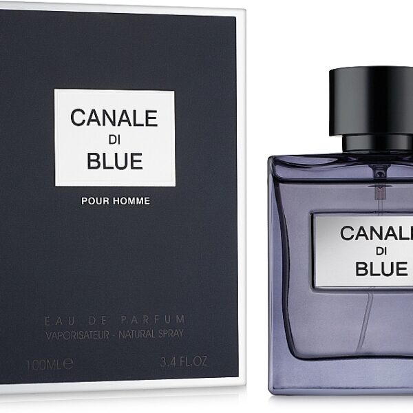 Canale Di Blue 100ml EDP by Fragrance World Inspired By Bleu De Chanel
