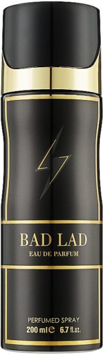 Bad Lad Perfumed Body Spray For Men 200ml Similar to Carolina Herrera Bad Boy Perfume - Image 2