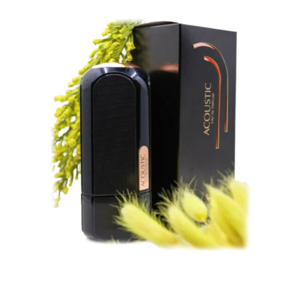 Acoustic Perfume 100ml by My Perfumes