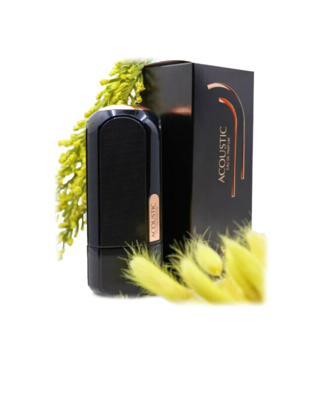 perfume-and-bottle-pic-2.jpg Acoustic Perfume 100ml by My Perfumes - Image 1